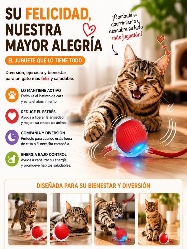 Gato jugando con la pelota interactiva Petvora que se mueve sola