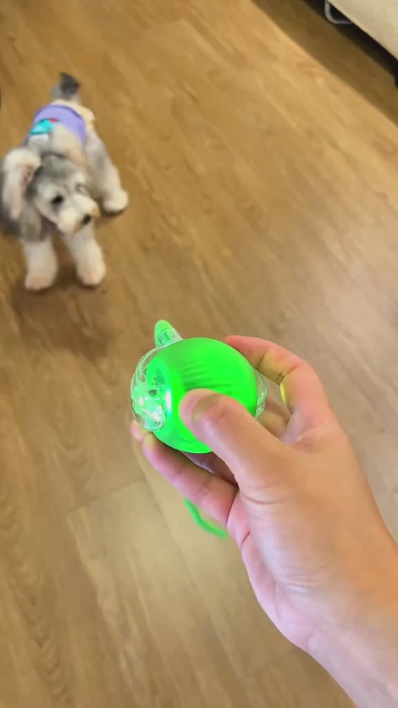🐶 Haz que cada día sea el mejor día de su vida.